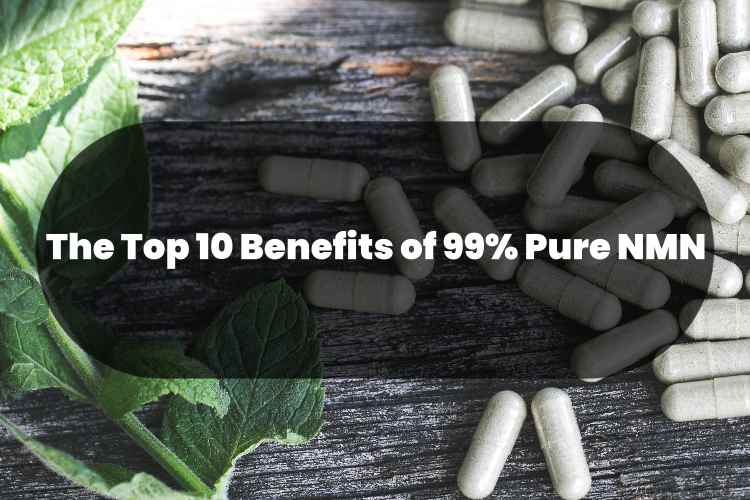 Top 10 Benefits of 99% NMN.jpg