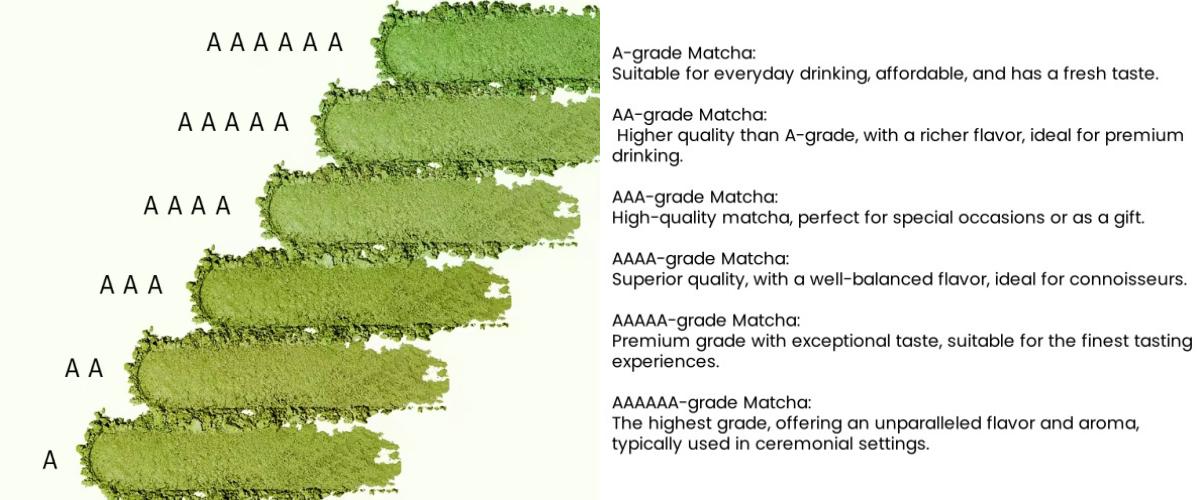 Types of Matcha.jpg