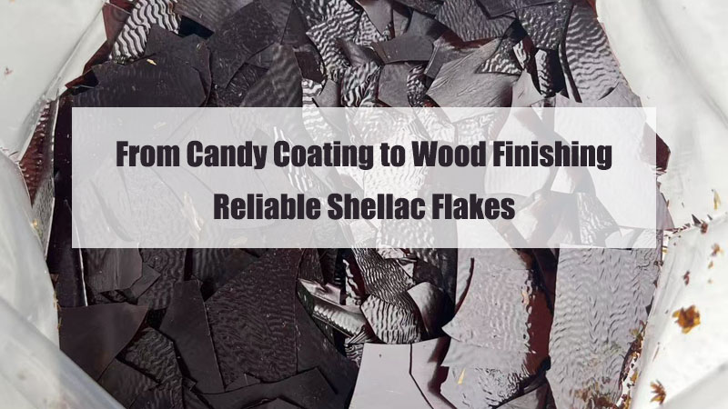 Shellac Flakes Banner Hongkangbio.jpg