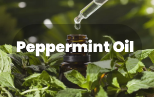 Experience the Purest Peppermint Oil: High-Quality Manufacturing You Can Trust