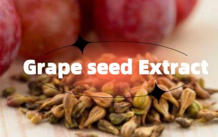 Grape Seed Extract: 9 Key Benefits of Proanthocyanidins and Their Versatile Applications